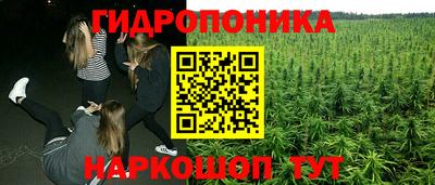 дмт Кулебаки