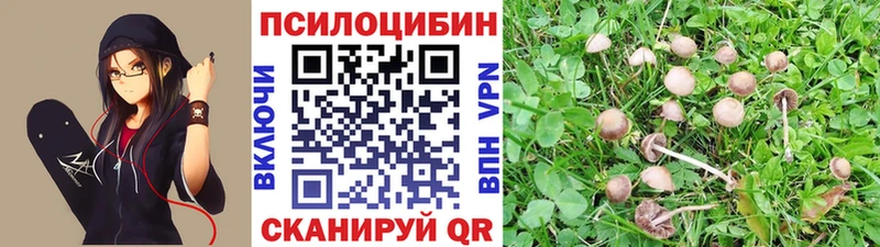Галлюциногенные грибы MAGIC MUSHROOMS Холмск